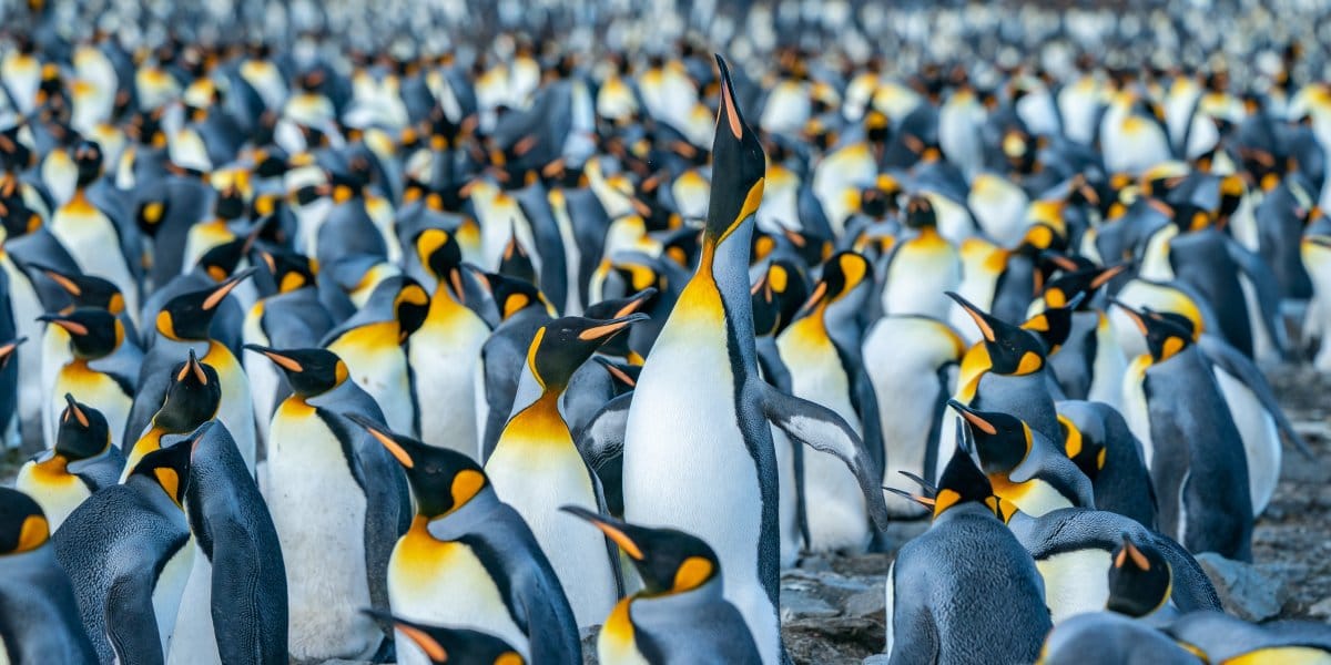 Unlock Success with 7 Customer Onboarding Tips